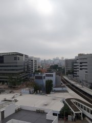九龍塘的濕度和能見度