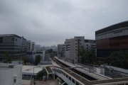 九龍真光中學