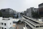 九龍真光中學的能見度與濕度