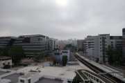 九龍塘的濕度和能見度