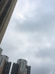 天氣預報S