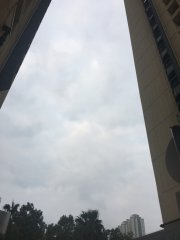 天氣預報葵涌
