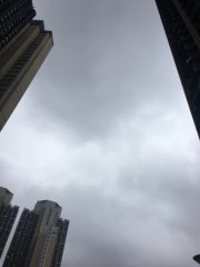 天氣預報葵涌
