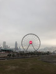 Hong Kong Eye