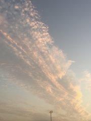 miracle day