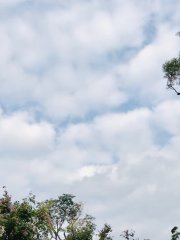 連綿不斷的雲朵 