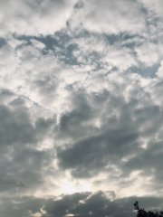 晨光
