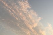miracle day