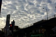 靜看浮雲