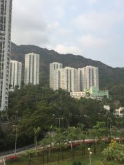 淡雲烘託的Lion Rock