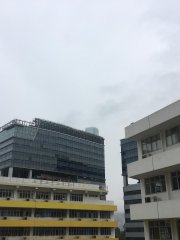 rain