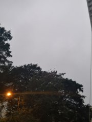 煙霧彌漫天空滿布烏雲一直下著微雨