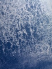 Altocumulus Lacunosus