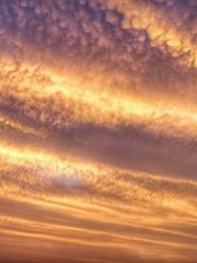 Altocumulus Mammatus