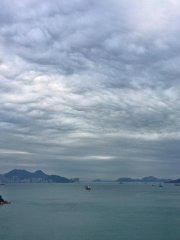 Altocumulus undulatus