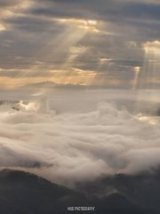 Sea of Clouds and Crepuscular rays