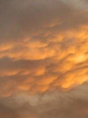 Mammatus