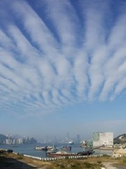 Altocumulus undulatus
