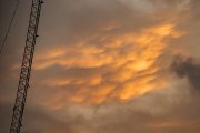 Mammatus