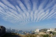 Altocumulus undulatus