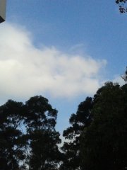 0224 day15 藍天,白雲,綠樹