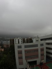 柳暗花明又一村