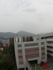 柳暗花明又一村