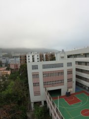 柳暗花明又一村