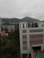 柳暗花明又一村