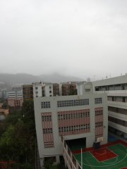柳暗花明又一村