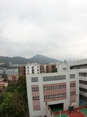 柳暗花明又一村