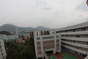 柳暗花明又一村