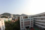 柳暗花明又一村
