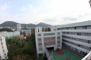 柳暗花明又一村